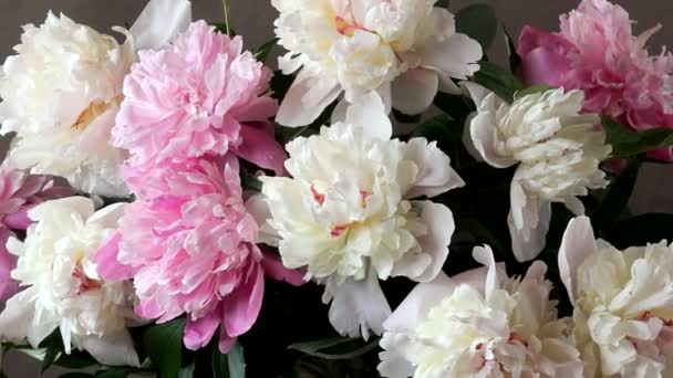 Bouquet of peonies and peaches. — Stock Video