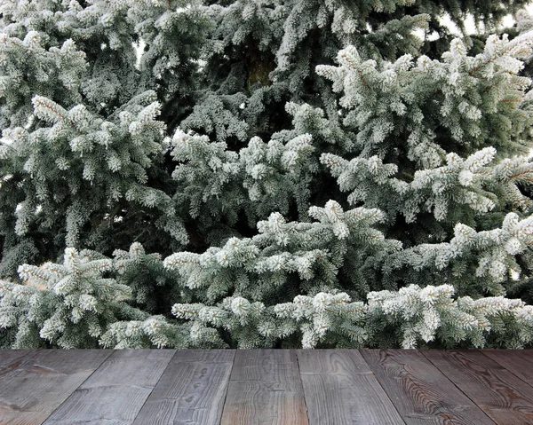 Empty deck on the background of fir branches — Stock Photo, Image