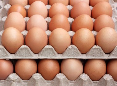 taze tavuk kahverengi yumurta paket
