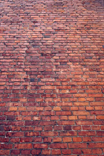 Oude muur van rode baksteen. — Stockfoto