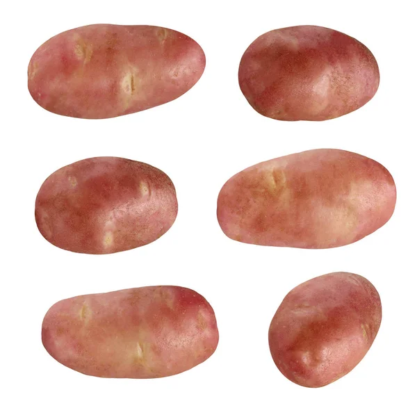 Potato tubers isolated on white background. — Stock Photo, Image
