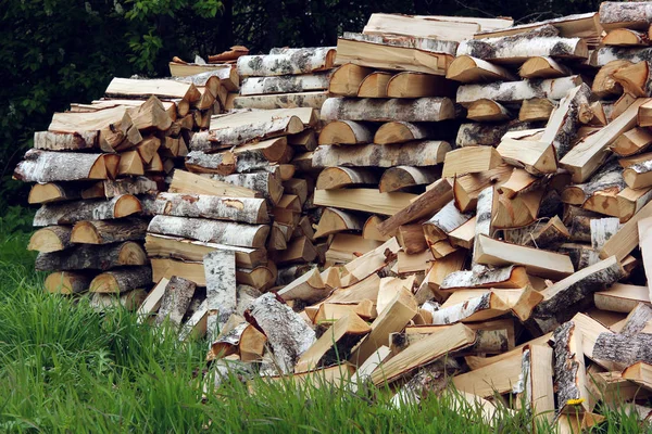 Bunch of birch logs on the grass, chopped by an axe. — Stock Photo, Image