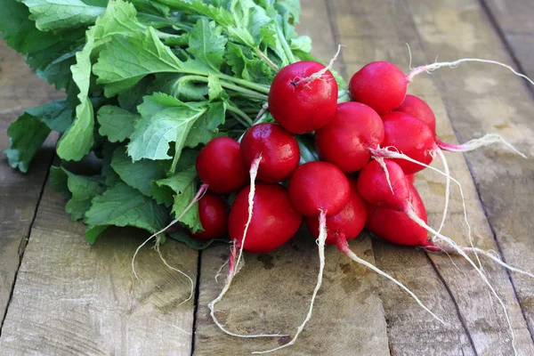 A bunch of radishes with tops — Stock Photo, Image