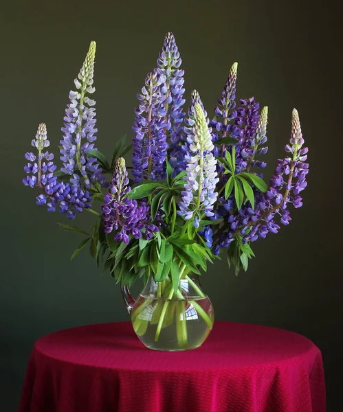 青いルピナスの花束 — ストック写真