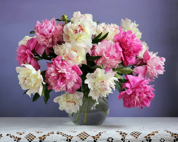 Roze en witte pioenrozen op een paarse achtergrond. Bloemen in een vaas — Stockfoto