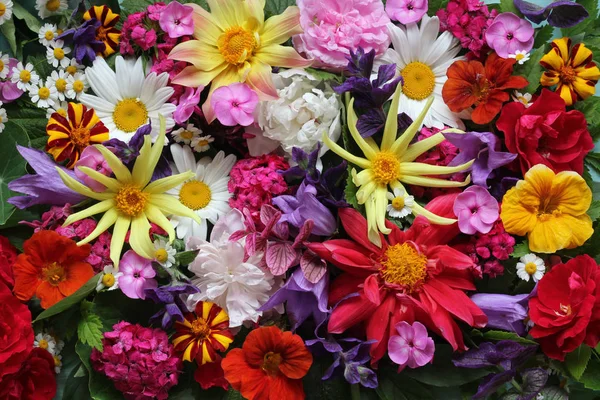Fondo colorido con flores de jardín, vista superior . — Foto de Stock
