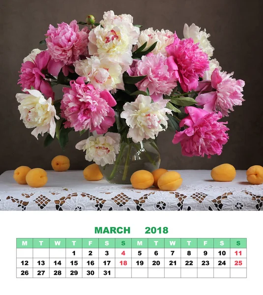 Design pagina kalender maart 2018. Roze en witte pioenrozen. Bloemen — Stockfoto