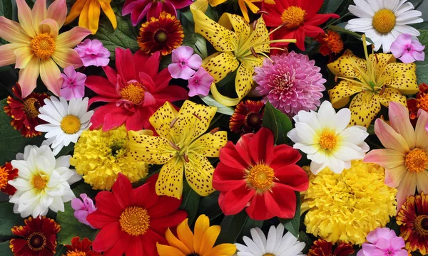 Bahçe çiçek, en iyi görünüm güzel zemin.