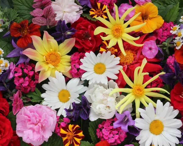 Fundo floral bonito para parabéns . — Fotografia de Stock