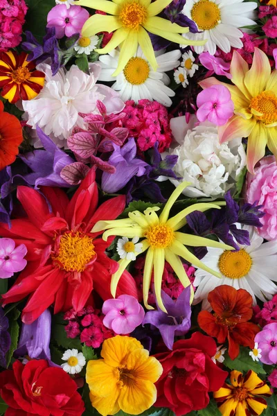 Textura de varias flores de jardín, vista superior . — Foto de Stock