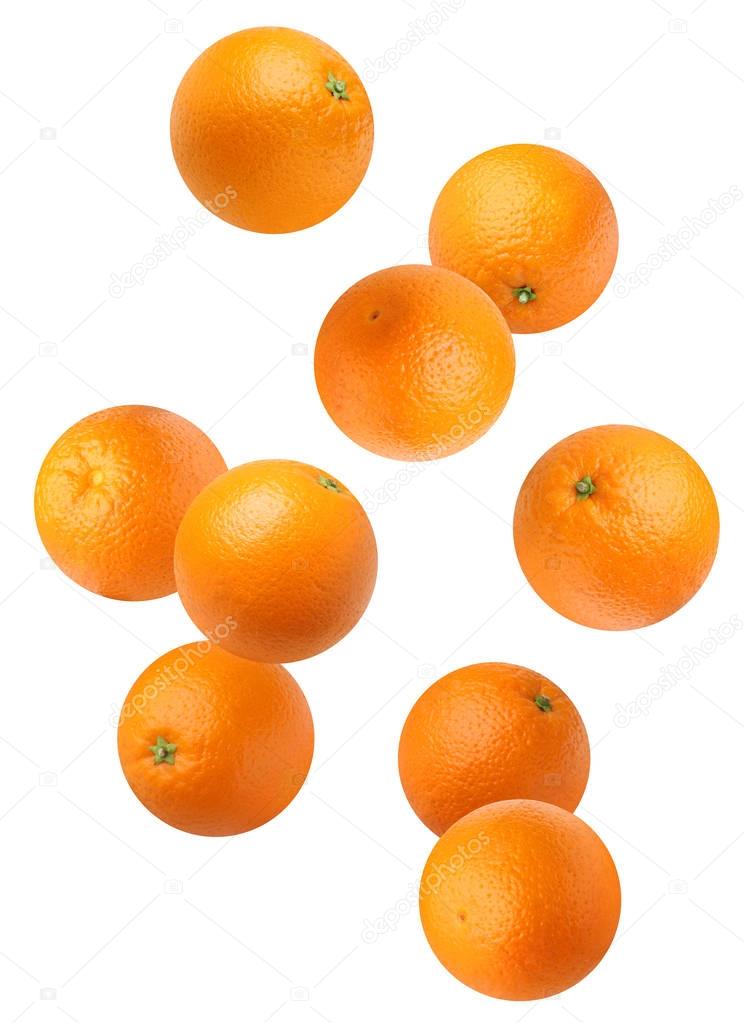 Falling oranges isolated on white background. 