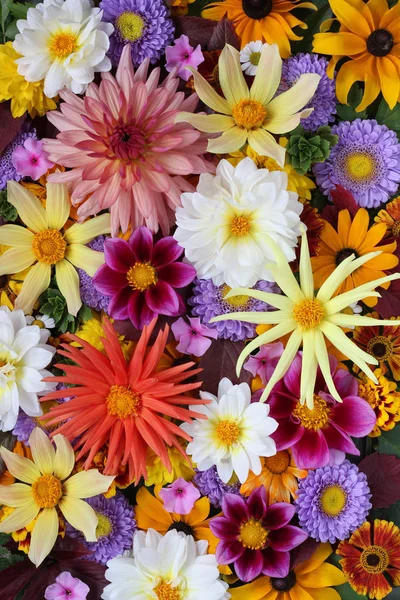 Fondo floral, tarjeta de felicitación . — Foto de Stock