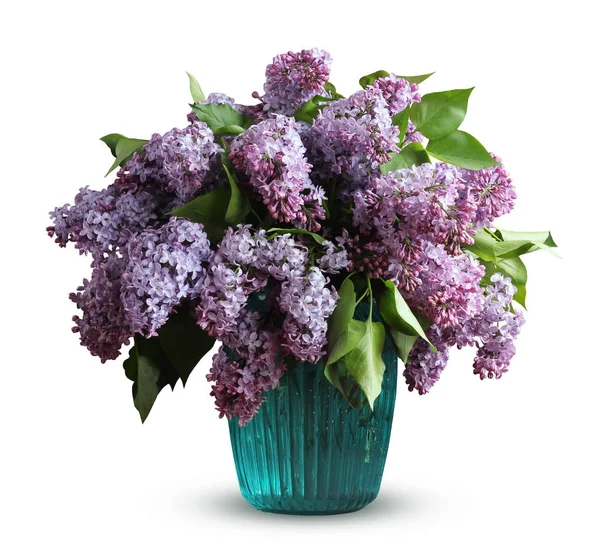 Bukett av lila i en vas som isolerad på en vit bakgrund. — Stockfoto