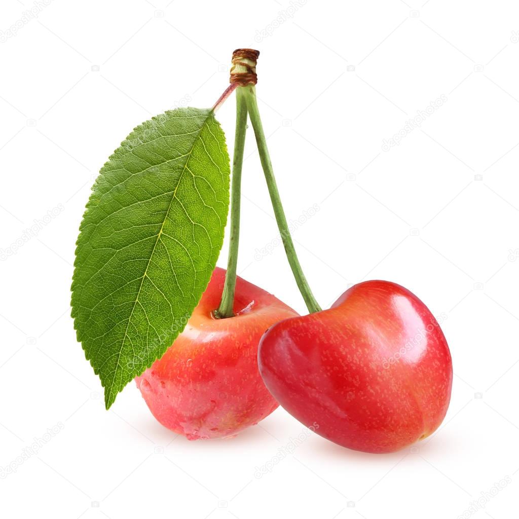Ripe cherries with water drops, isolated on white background.