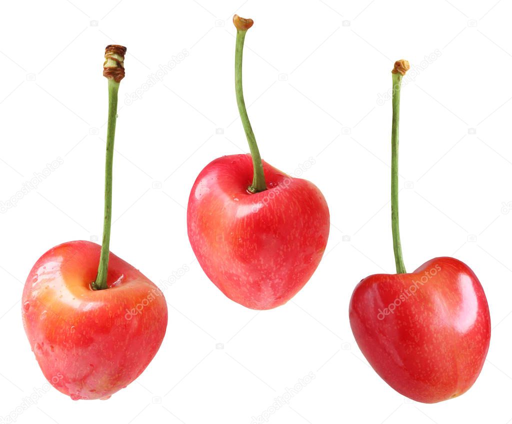 Ripe cherry, isolated on a white background. Three berries entir