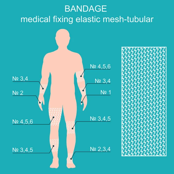 Bandage medical reticulate-tubular retainer. Vector illustration — Stock Vector