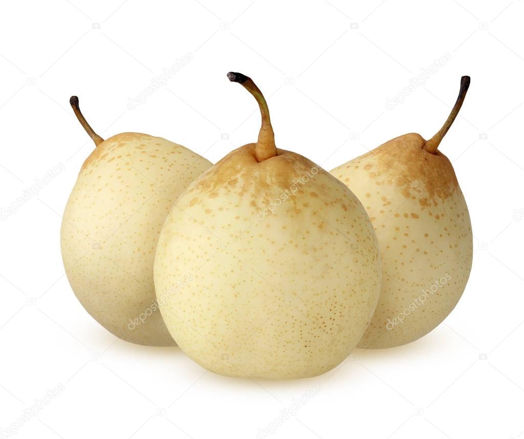 Three  Chinese pear isolated on a white background. 