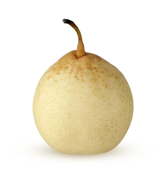 One Chinese pear on white background. — Stock Photo, Image