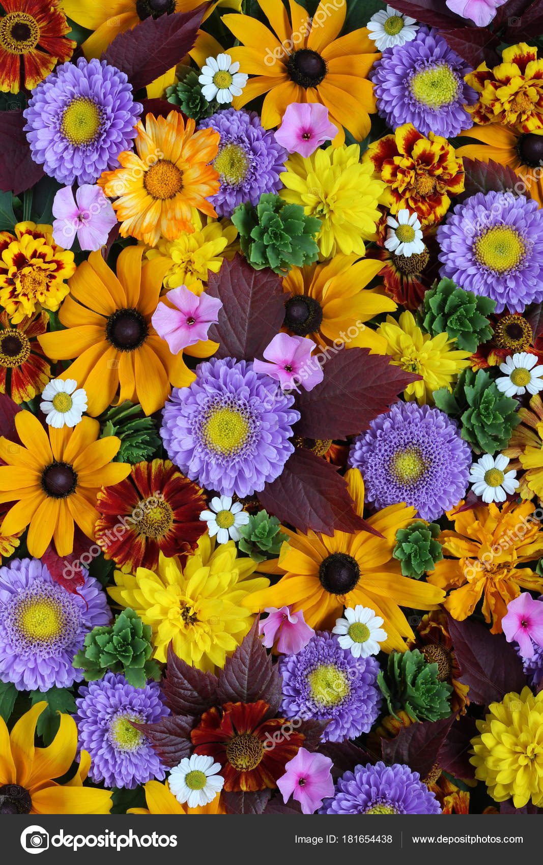 別の秋の花 トップ ビューのテクスチャ 花の背景 ストック写真 C Balagur