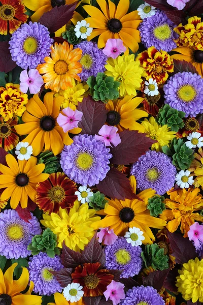 Текстура різних осінніх квітів, вид зверху. квітковий фон . — стокове фото