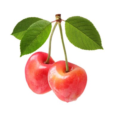 Su damla, beyaz arka plan üzerinde izole Olgun Kiraz.