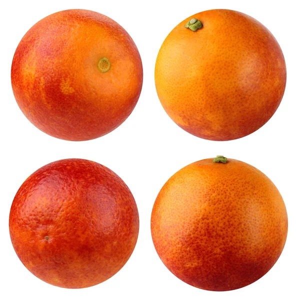 Blutrote Orange. Sammlung ganzer Früchte. — Stockfoto