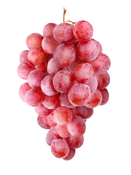 Brush of red grapes, isolated on white background. — Stock Photo, Image