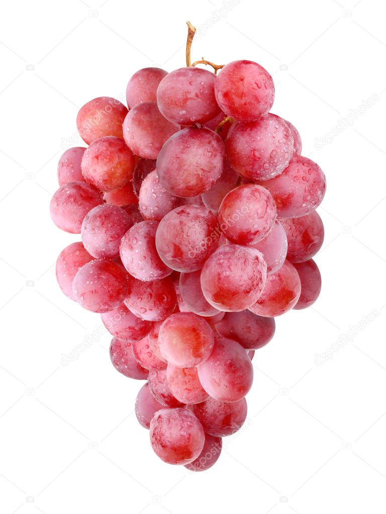 brush of red grapes, isolated on white background.
