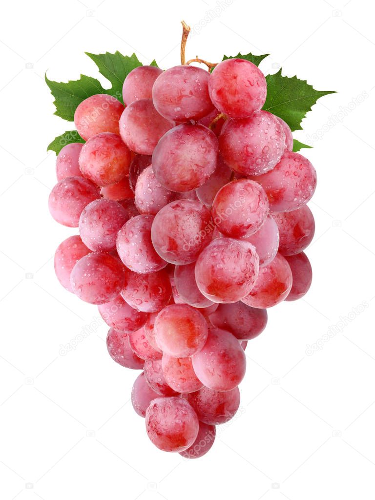 brush of red grapes, isolated on white background.