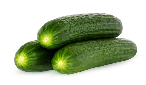 Soepele komkommers geïsoleerd op witte achtergrond. — Stockfoto