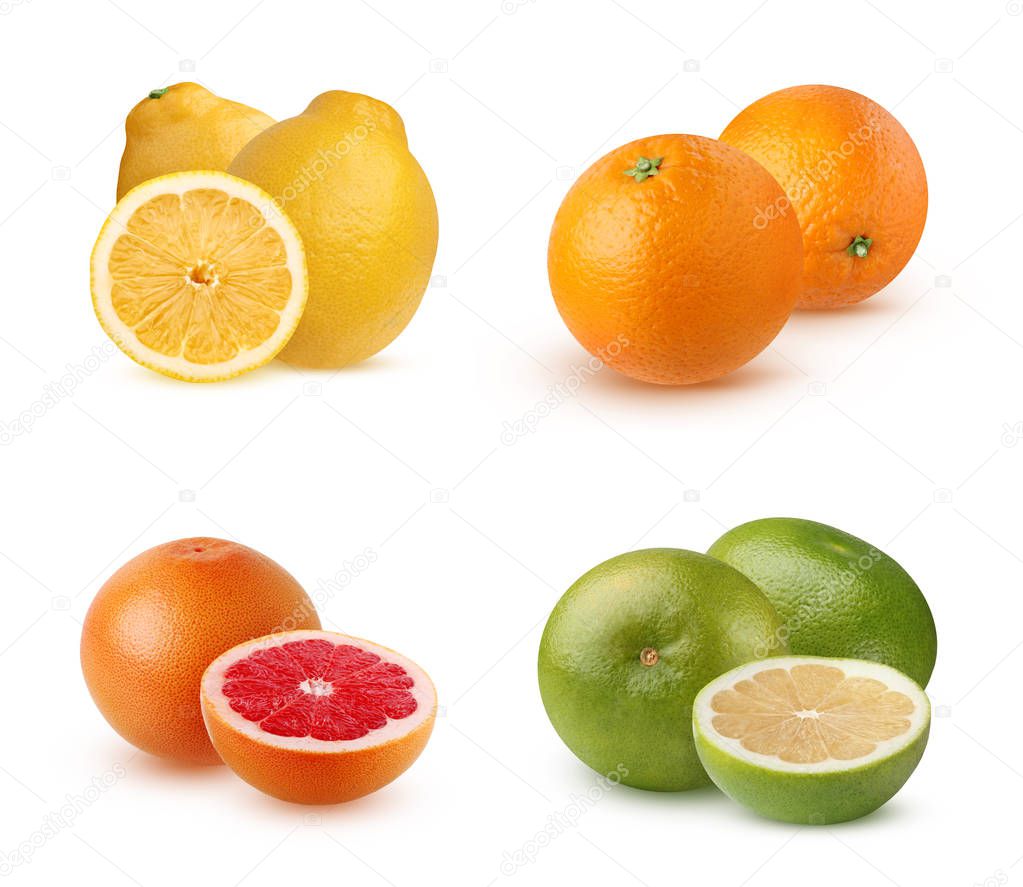 Citrus fruits isolated on white background.