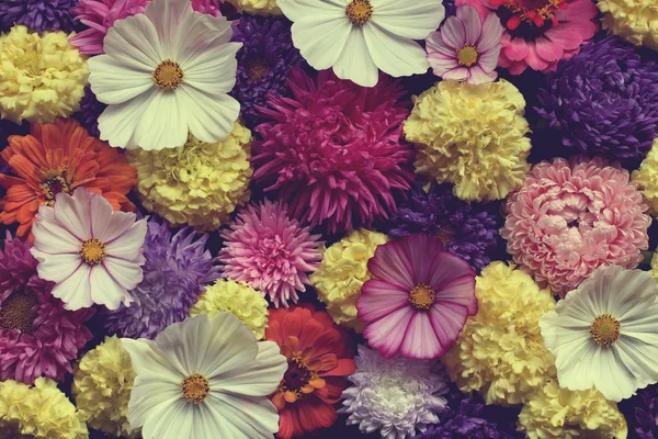 Disposizione dei fiori, vista dall'alto. tonificante. sfondo . — Foto Stock