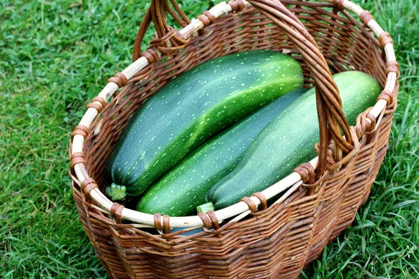 Abobrinha verde em uma cesta, vista superior. produtos hortícolas . — Fotografia de Stock