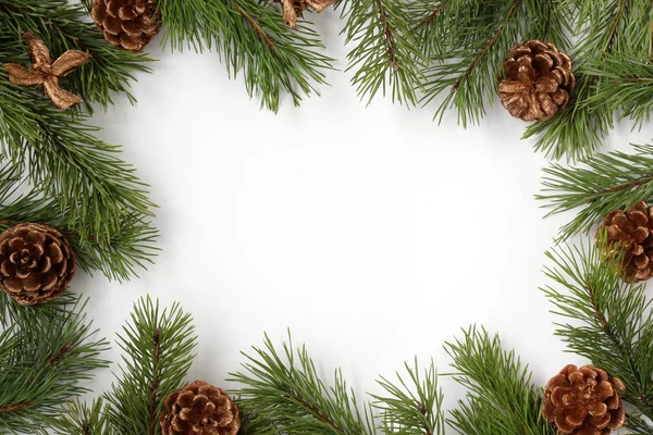 Composición navideña. ramas de pino y conos en un respaldo blanco — Foto de Stock