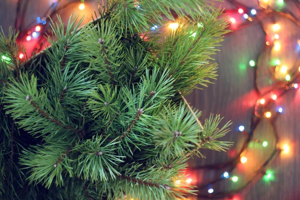Weihnachtskomposition mit Tannenzweigen und elektrischem Kranz — Stockfoto