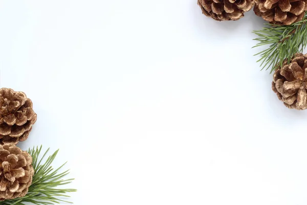 White background with pine branches and cones — 스톡 사진