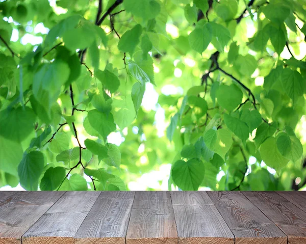 Piso de madeira vazio em um fundo com folhas de linden fora de — Fotografia de Stock