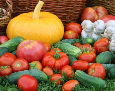 ripe vegetables on the grass, fresh harvest.