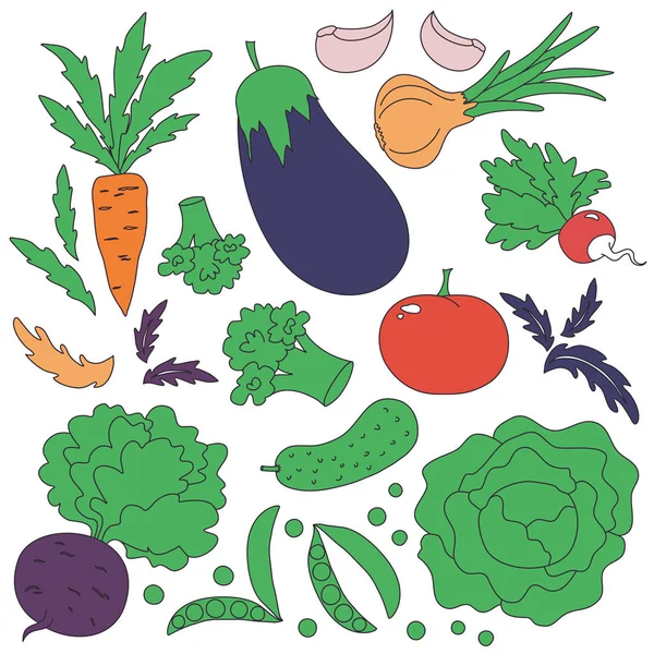 Sammlung von farbigen handgezeichneten Gemüse, Vektorillustration — Stockvektor