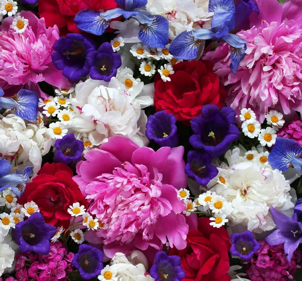 Άνοιξη λουλούδι φόντο με παιώνιες, τριαντάφυλλα, ίριδες, μαργαρίτες και — Φωτογραφία Αρχείου