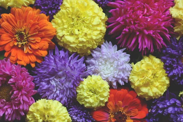 Floral Φόντο Πάνω Όψη Όμορφο Σκηνικό Φθινοπωρινά Λουλούδια Αστέρια Και — Φωτογραφία Αρχείου