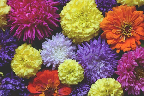 Floral Φόντο Πάνω Όψη Όμορφο Σκηνικό Φθινοπωρινά Λουλούδια Αστέρια Και — Φωτογραφία Αρχείου