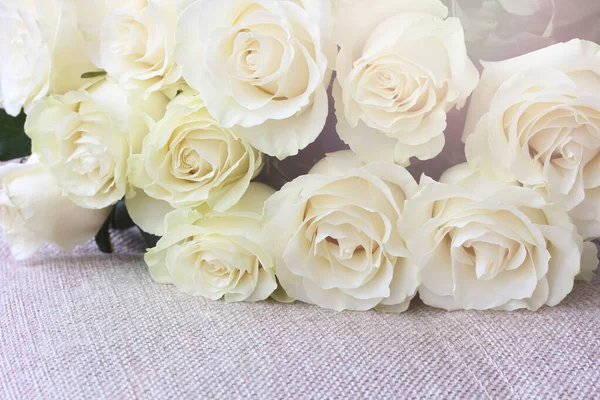 bouquet of light cream roses on a rough fabric surface. flowers close-up, floral background.