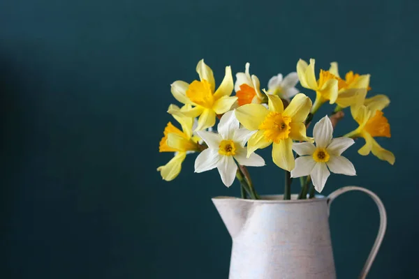 Narcisos Amarelos Jarro Fundo Escuro Buquê Flores Jardim Espaço Cópia — Fotografia de Stock