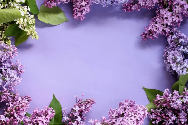 Fondo Floral Con Lilas Púrpura Blanca Espacio Para Texto Centro —  Fotos de Stock