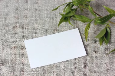 Açık keten masa örtüsü ve taze yapraklı beyaz kartvizit, üst manzara. Doğal doğal arka plan. Model yap, düzen.