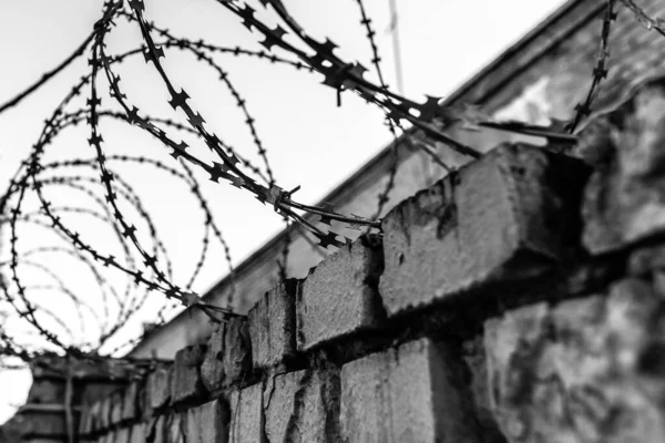 Колючий Дріт Цегляною Стіною Чорно Біле Фото Тема Язнення — стокове фото