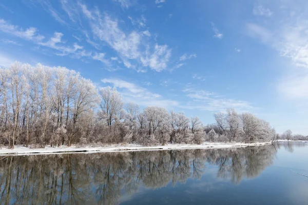Winter Landscape River Trees Hoarfrost Sunny Day Blue Sky — Stock Photo, Image