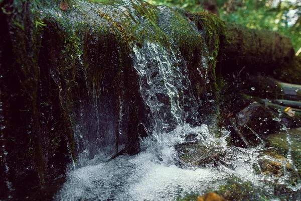 Fluxo Água Nascente Pura Natureza — Fotografia de Stock