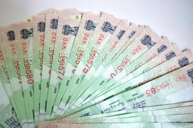 yüz Rupi Hint para birimi